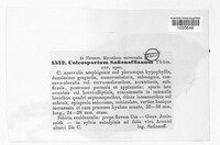 Coleosporium safianoffianum image